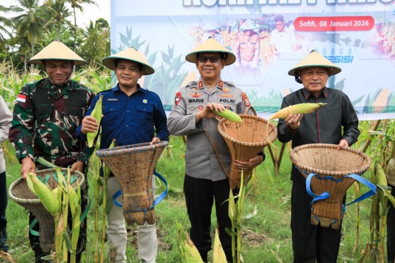 2e094a75-ad40-4dca-ae3b-f1416ae89e94